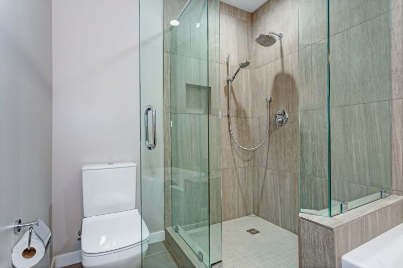 Contemporary Shower Area Upgrade